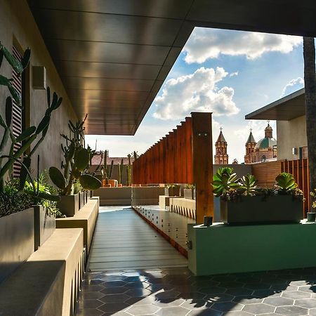 克里欧酒店 克雷塔罗 外观 照片 The rooftop garden