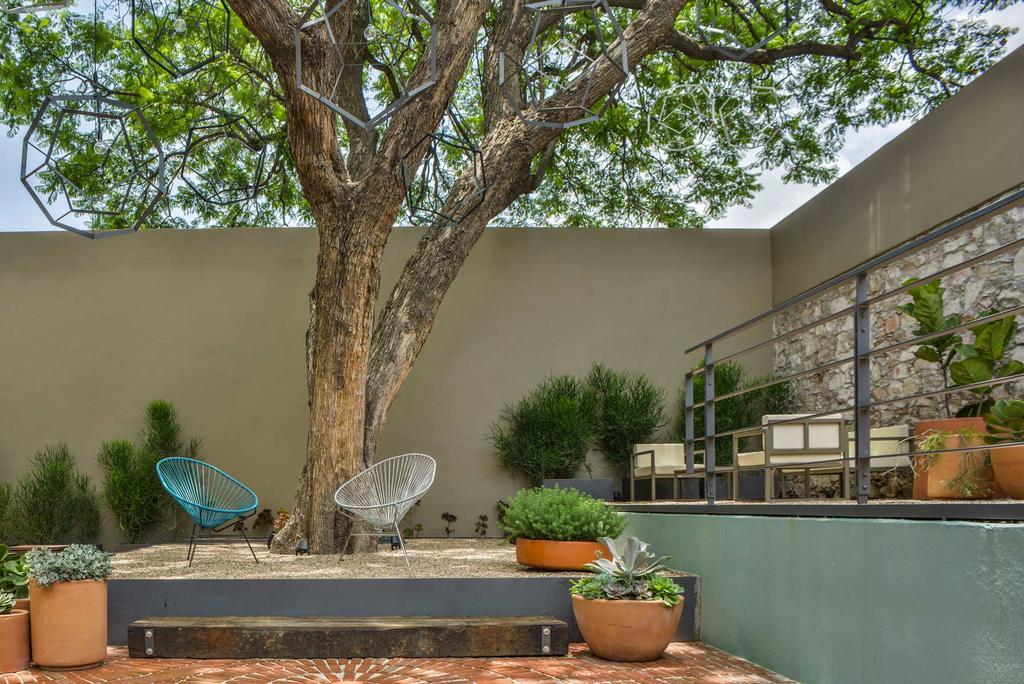 克里欧酒店 克雷塔罗 外观 照片 A contemporary garden in Austin, Texas
